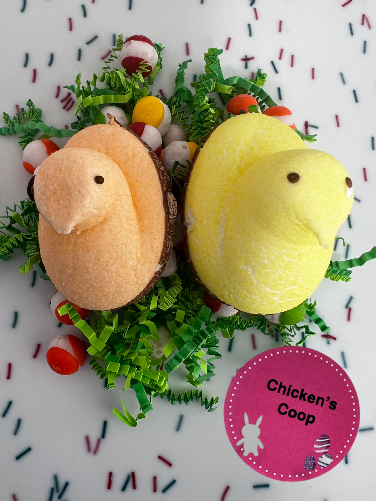 Chicken's Coop